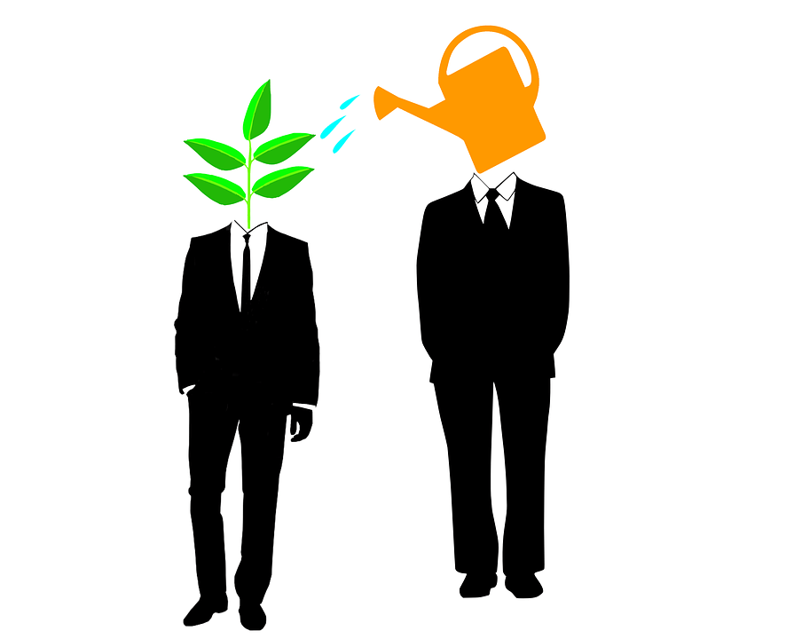 Mentoría-mentoring